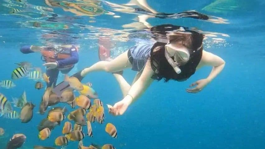 普吉岛浮潜