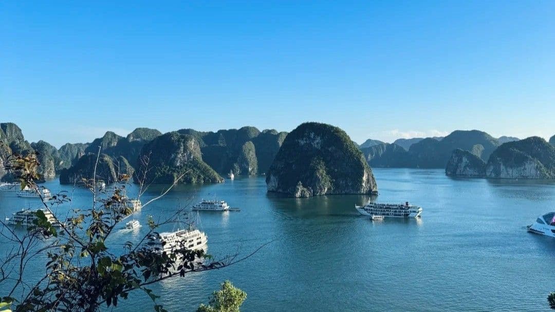 下龙湾游船